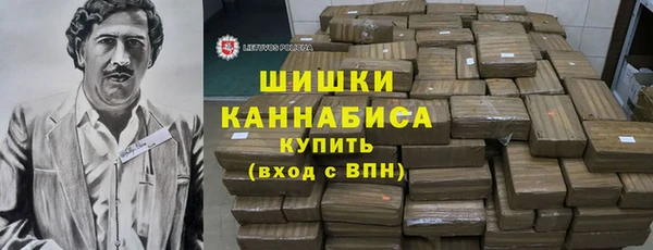 хмурый Магас