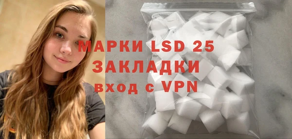 хмурый Магас