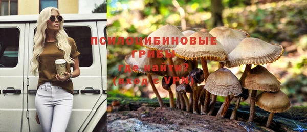 хмурый Магас