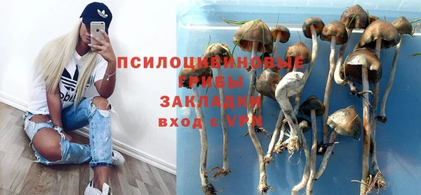 хмурый Магас