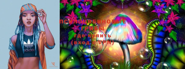 хмурый Магас
