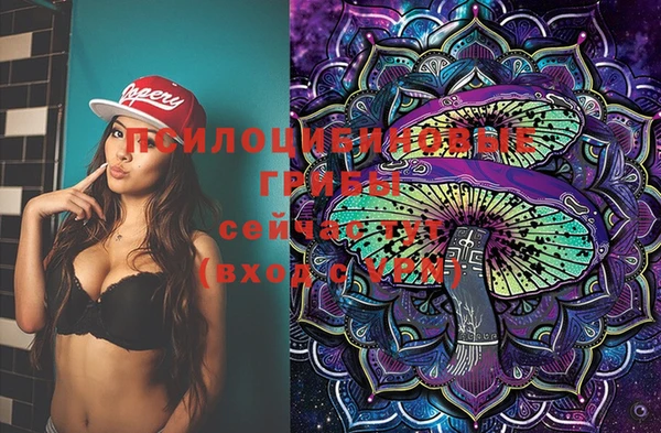 хмурый Магас
