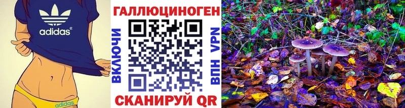 Галлюциногенные грибы мицелий  Суоярви 